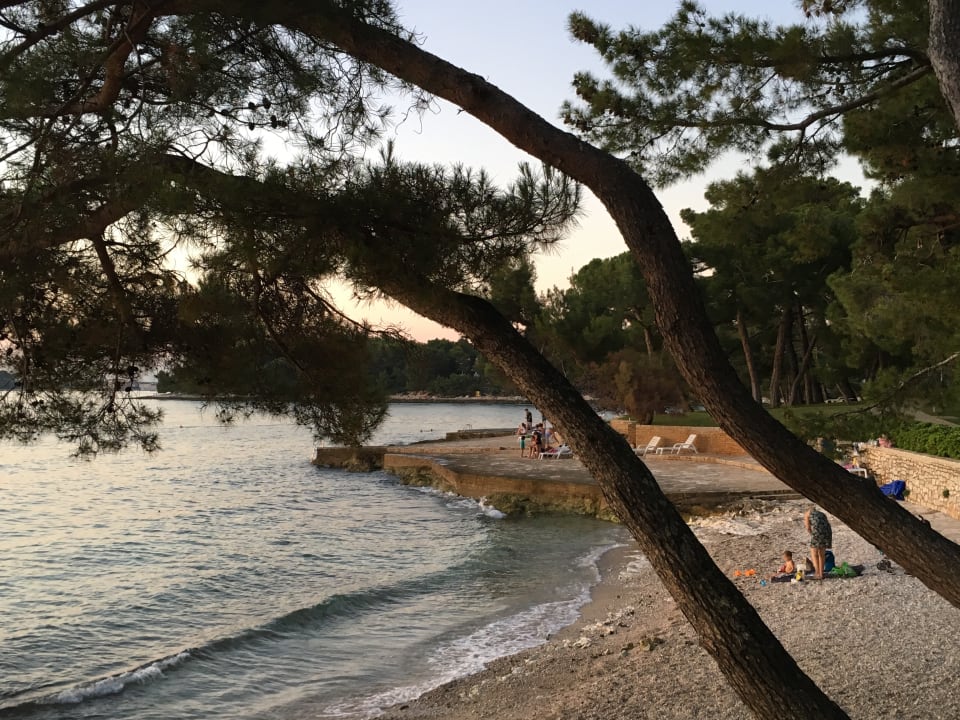 Strand Hotel Parentium Plava Laguna