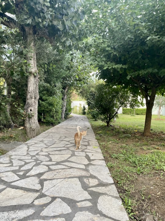 Gartenanlage Nasos Hotel & Resort