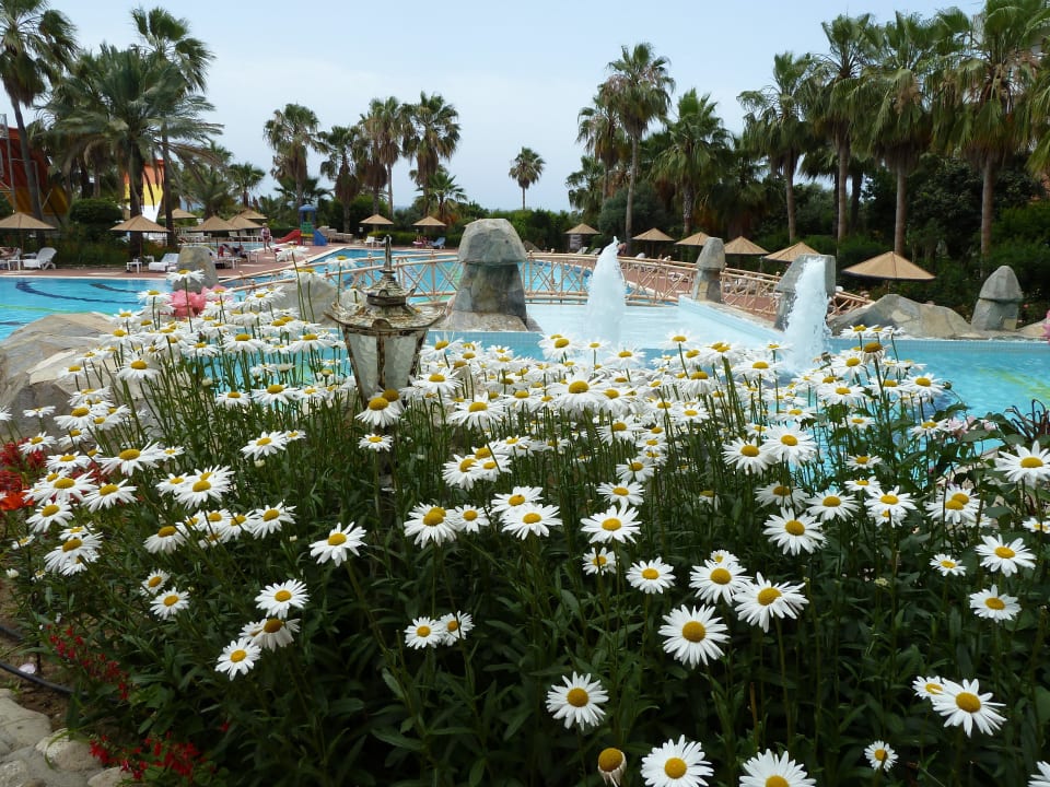 Garten mit Pool Hotel Defne Garden