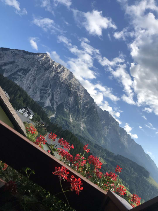 Ausblick Hotel DER HECHL