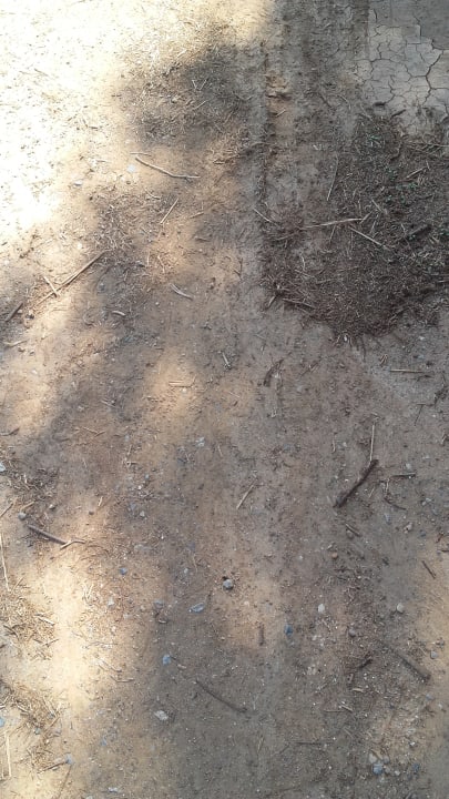 Strand Scaleta Beach Hotel