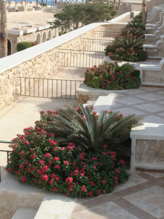 Zimmer Pickalbatros Citadel Resort