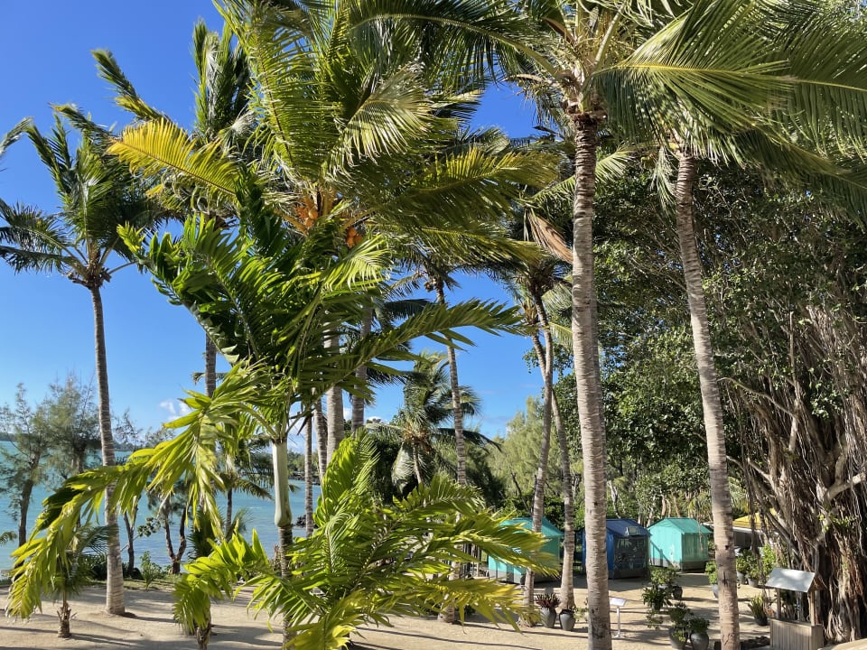 Gartenanlage Lagoon Attitude - Adults only