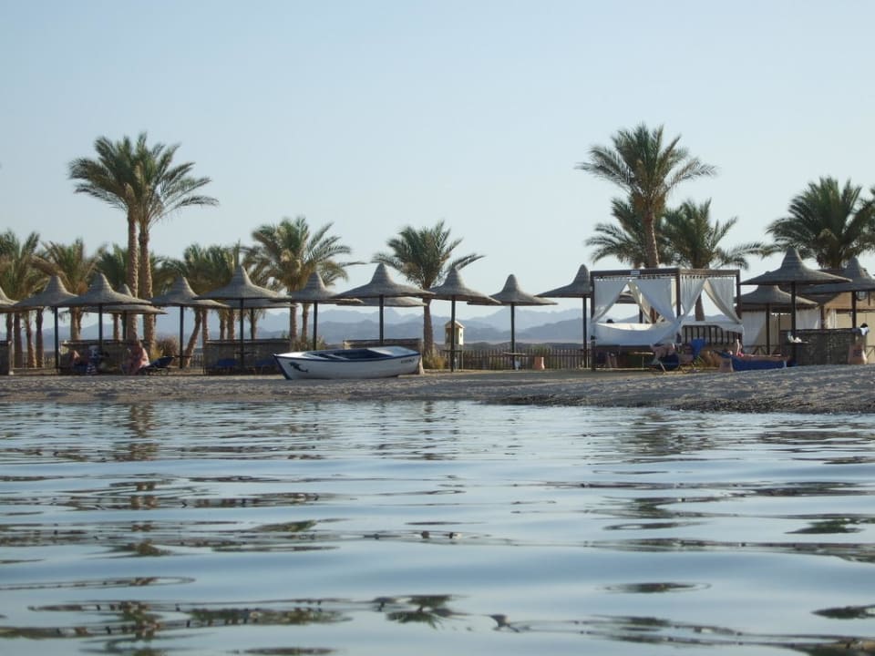 Vom Wasser aus Steigenberger Coraya Beach - Adults only