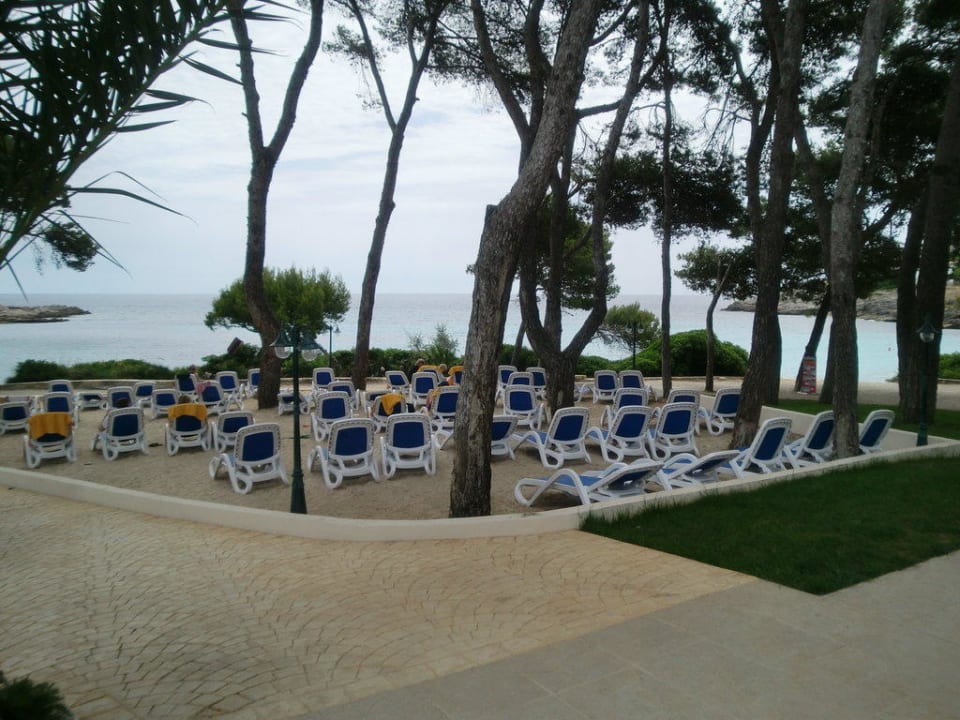 Liegebereich zum Meer - Hier war es ruhiger Iberostar Waves Pinos Park