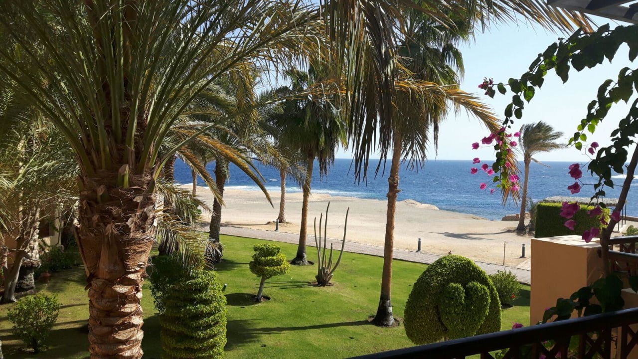 Gartenanlage Steigenberger Coraya Beach - Adults only