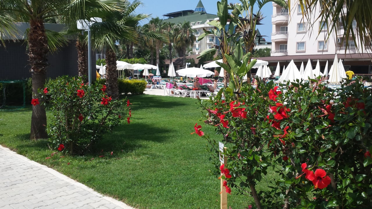 Anlage Hotel Royal Garden Beach