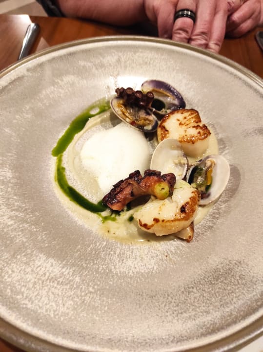 Gastro Acanthus Cennet Barut Collection