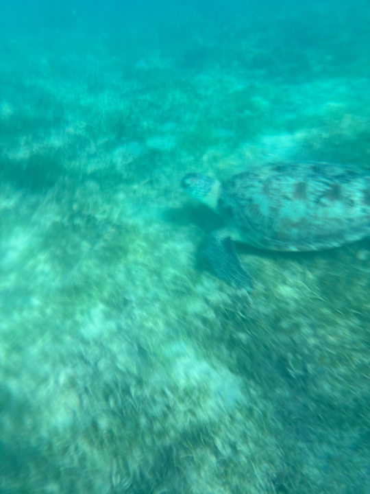 Strand Shams Safaga Resort