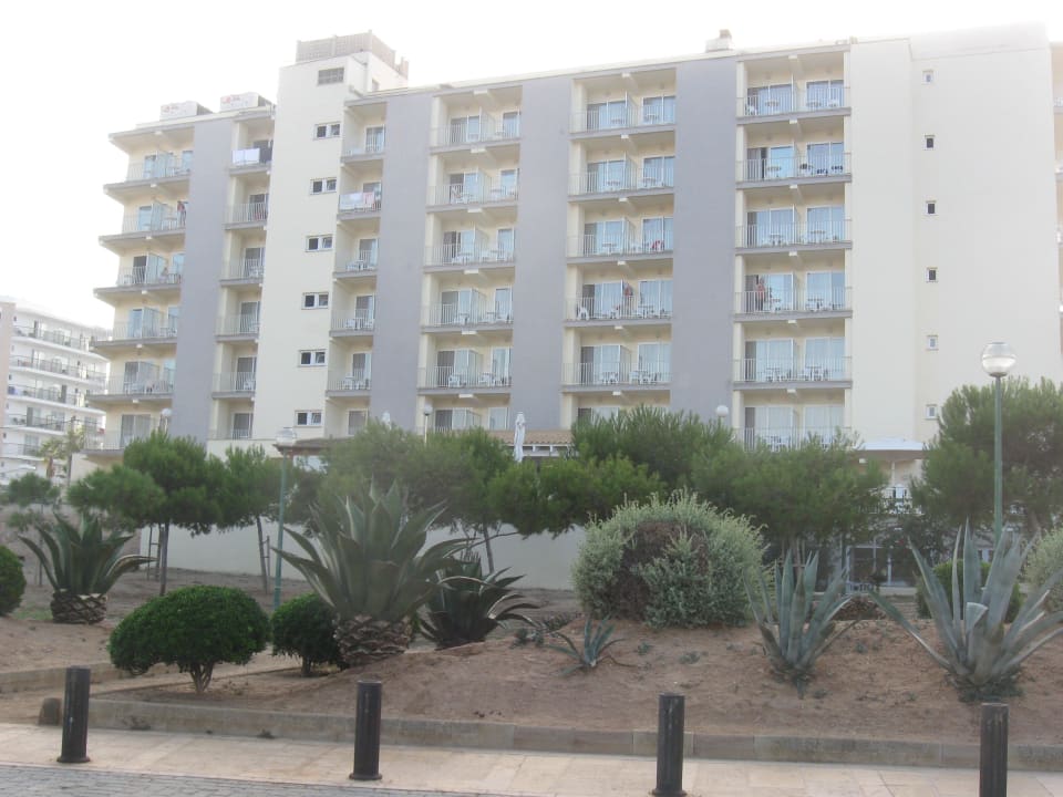 Von Hinten aufs Hotel BQ Apolo Hotel