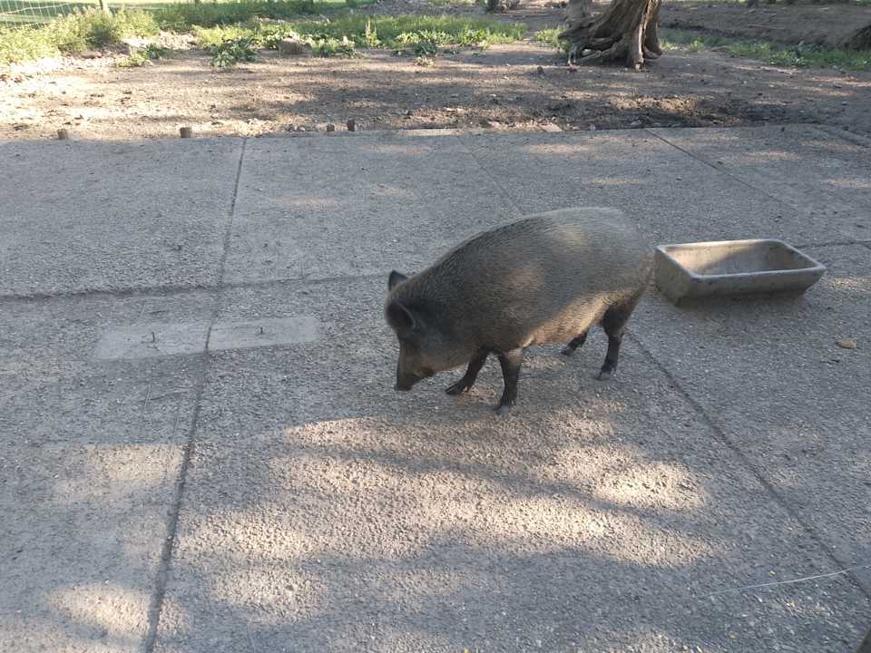 Sonstiges Natur-Resort Tripsdrill