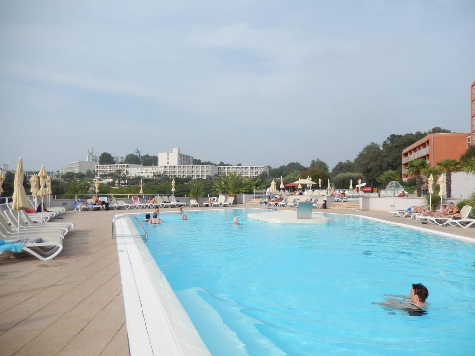 Ausreichender Pool Hotel Albatros Plava Laguna