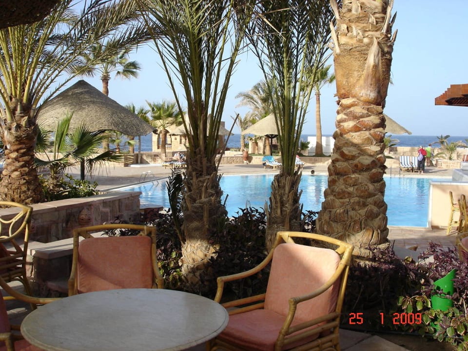 Terrasse für Drinks und Essen Mövenpick Resort El Quseir