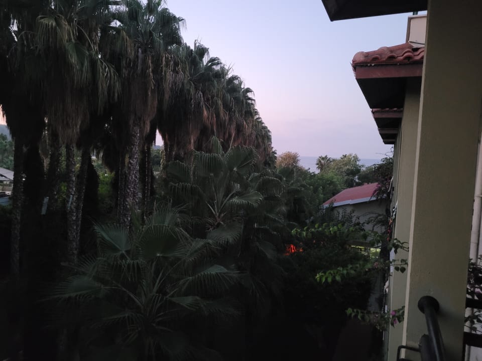 Ausblick Hotel Gardenia Beach