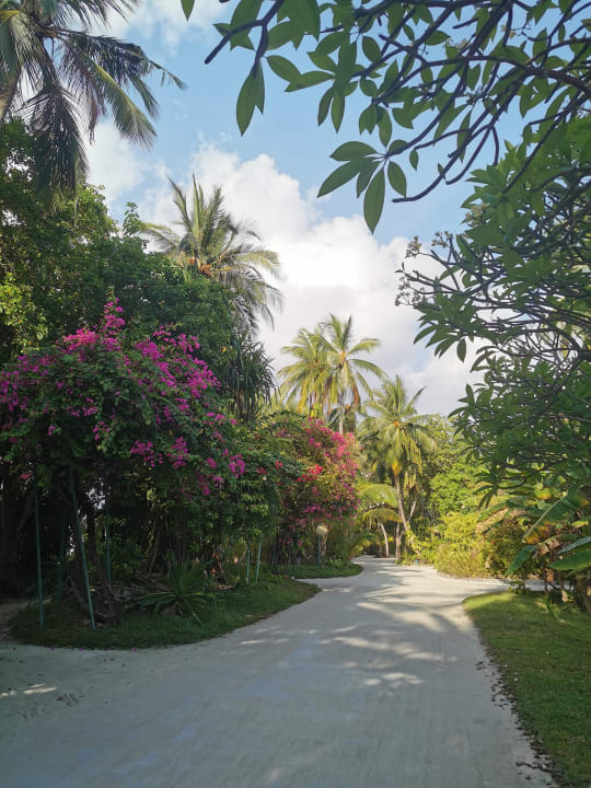 Gartenanlage Kuramathi Maldives
