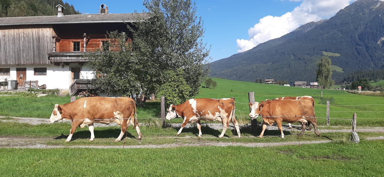 Außenansicht Landhaus Rohregger