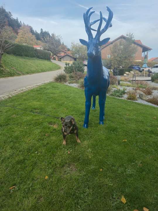 Außenansicht Bergkristall - Mein Resort im Allgäu