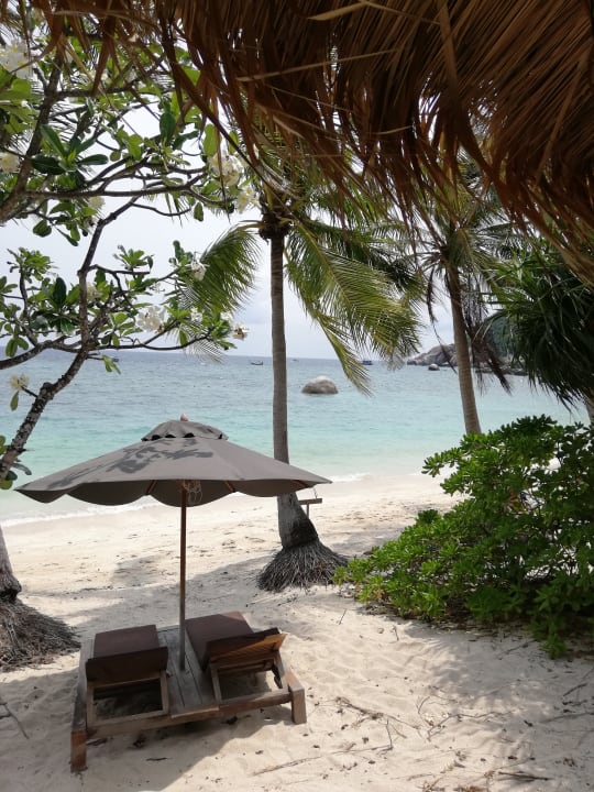 Zimmer The Haad Tien Beach Resort