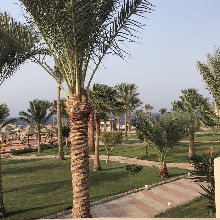 Garten Three Corners Sea Beach Resort