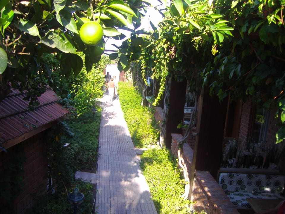 Weg zum Meer Can Garden Beach