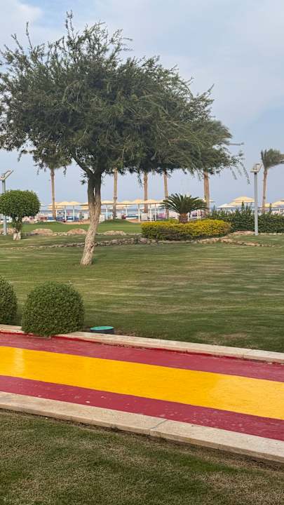 Gartenanlage Pickalbatros Royal Moderna Resort-Sharm El Sheikh