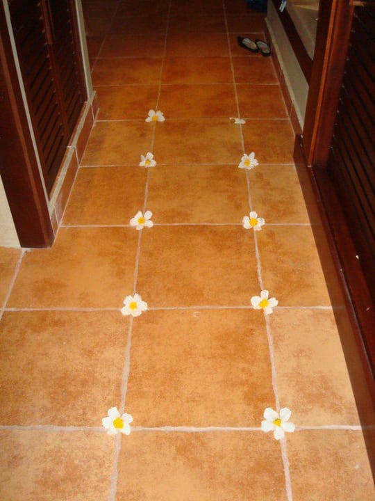 Deko im Zimmer Catalonia Royal Bavaro - Adults only