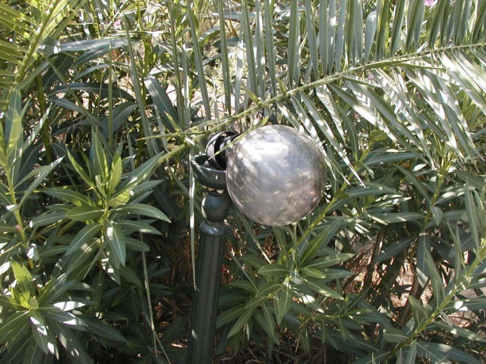 Defekte Wegbeleuchtung Süral Saray Hotel