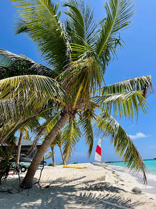 Außenansicht Jawakara Islands Maldives