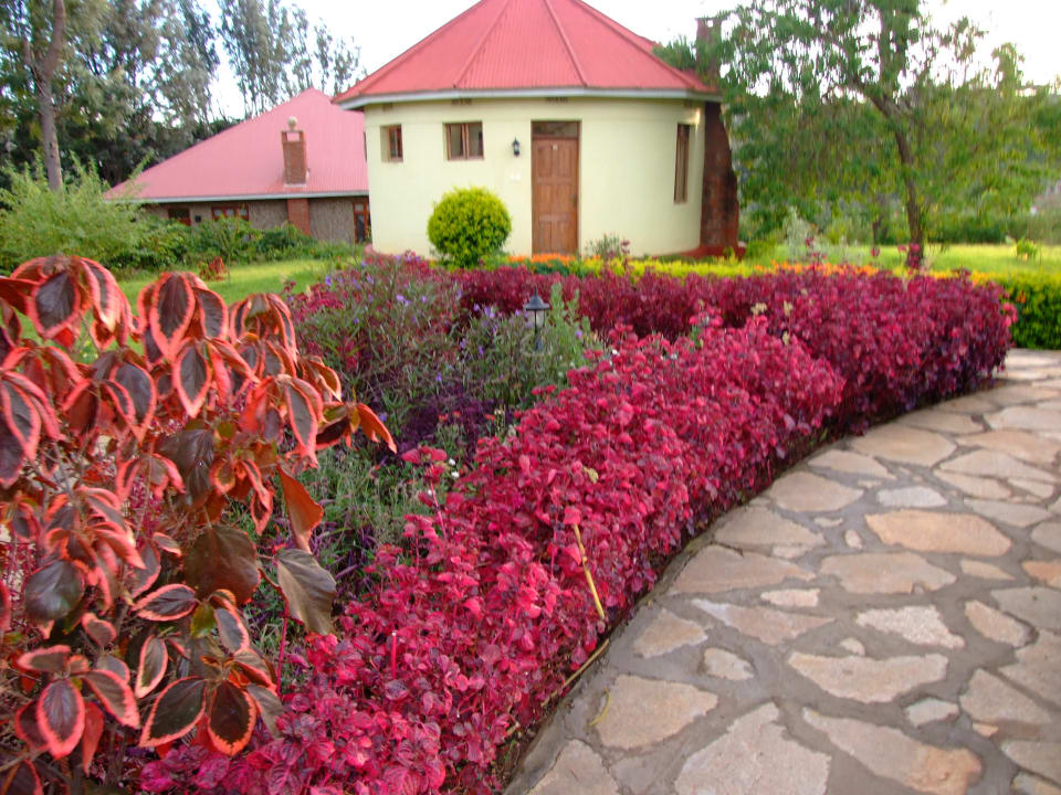 Gartenanlage Hhando Coffee Lodge