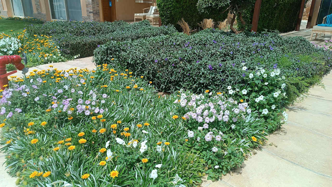Gartenanlage Imperial Shams Abu Soma