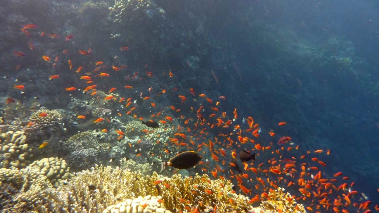 Sonstiges Casa Mare Resort