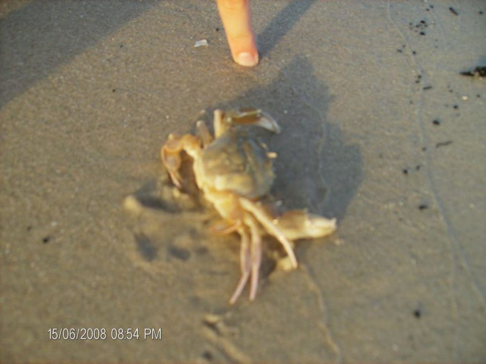 Krabik Ruspina Beach Resort