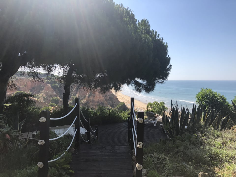 Gartenanlage PortoBay Falésia