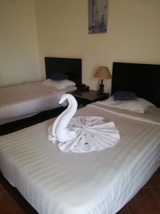 Zimmer Three Corners Sea Beach Resort