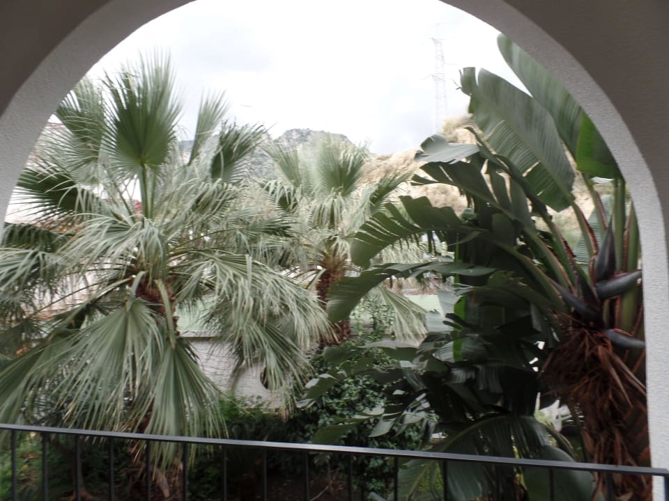 Vom Zimmer Ausblick nach hinten Hotel Olimpo