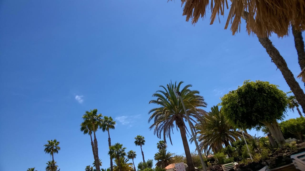 Pool Bungalows Las Vegas Golf