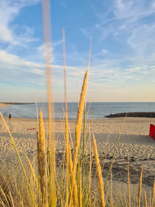 Strand Hotel Pension Pieter de Coninck