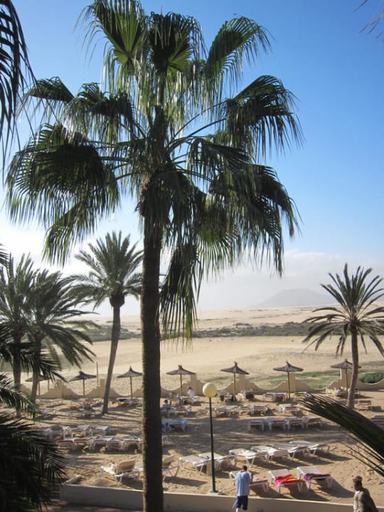 Gartenanlage mit Liegebereich Hotel Riu Oliva Beach Resort