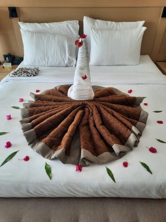 Zimmer JAZ Elite Amara