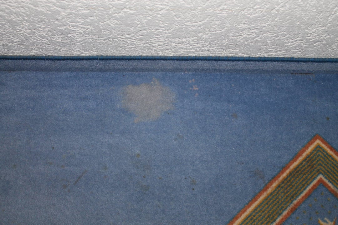 Flecken im Flur Göbel's Seehotel Diemelsee