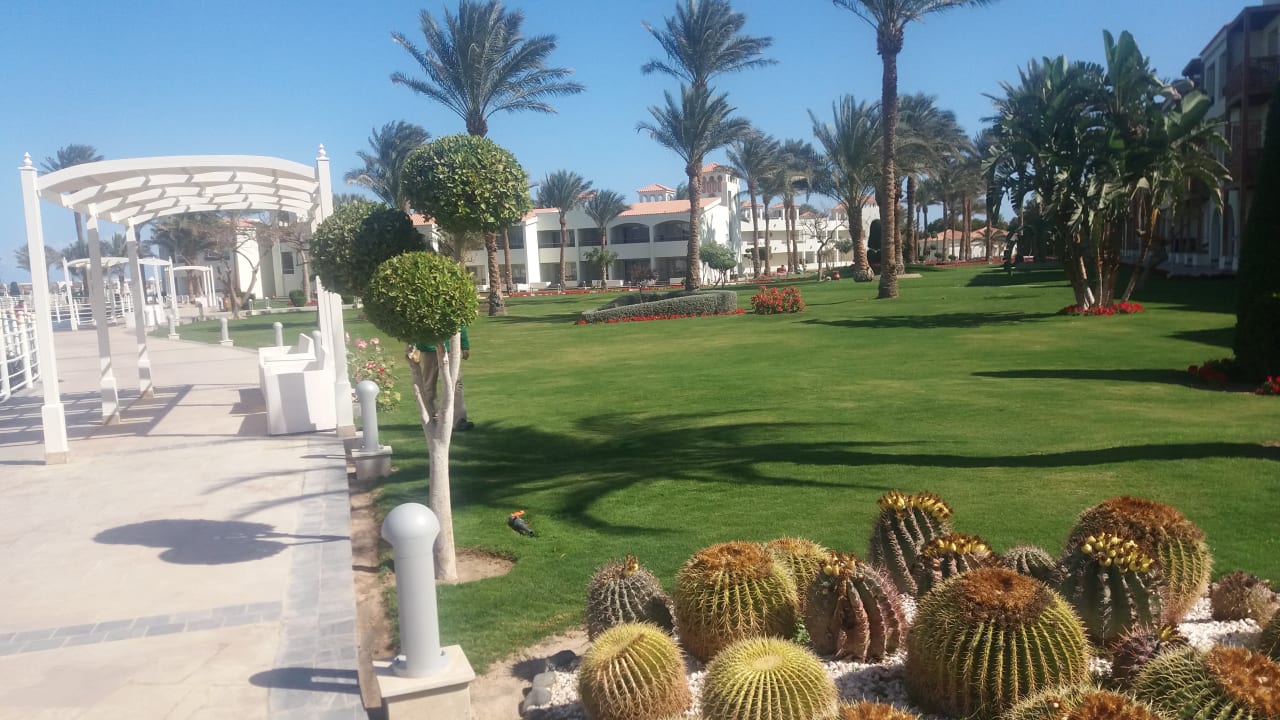 Gartenanlage Pickalbatros Dana Beach Resort - Hurghada