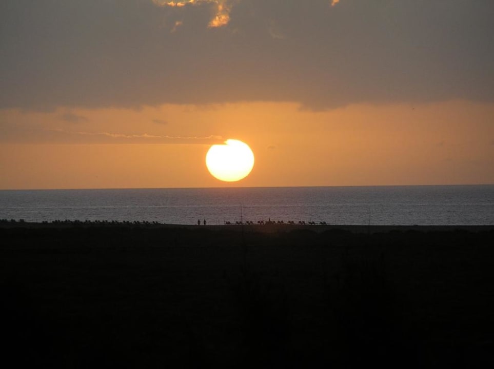 Sonnenaufgang IFA Altamarena by Lopesan Hotels