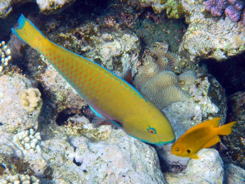 Sport & Freizeit Rohanou Beach Resort