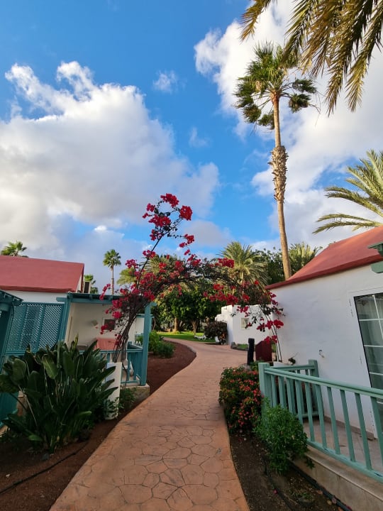 Gartenanlage Aldiana Club Fuerteventura