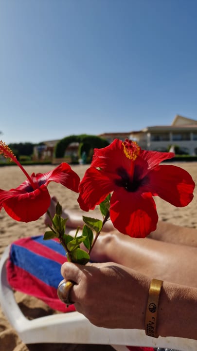 Strand Cleopatra Luxury Resort Makadi Bay