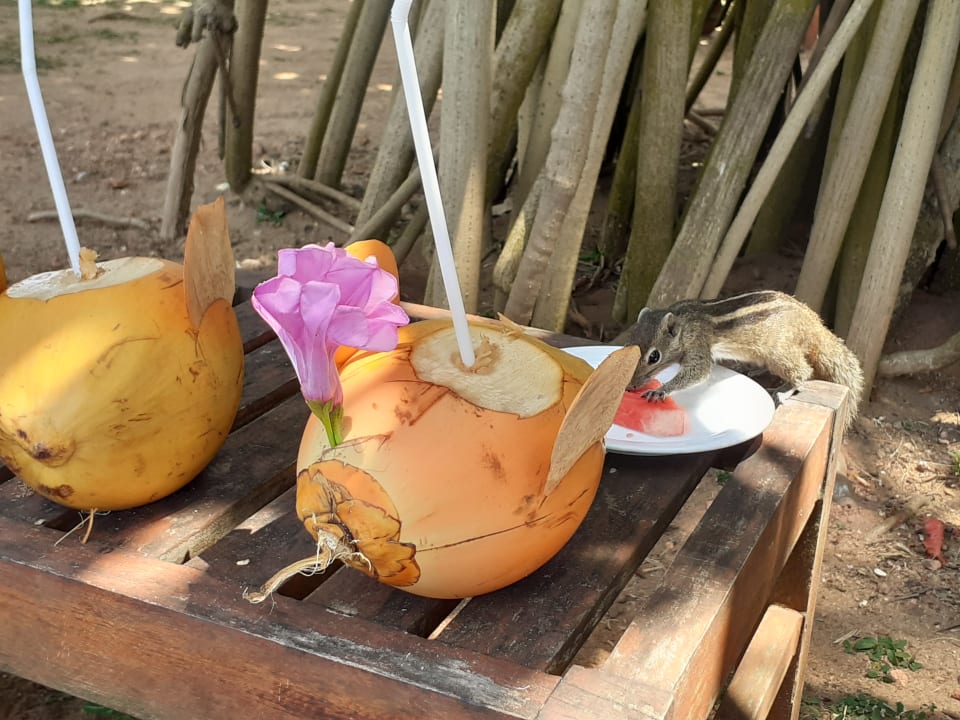 Gastro Mermaid Hotel & Club