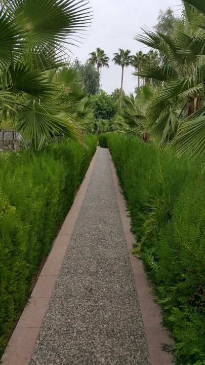 Gartenanlage Iz Flower Side Beach Hotel