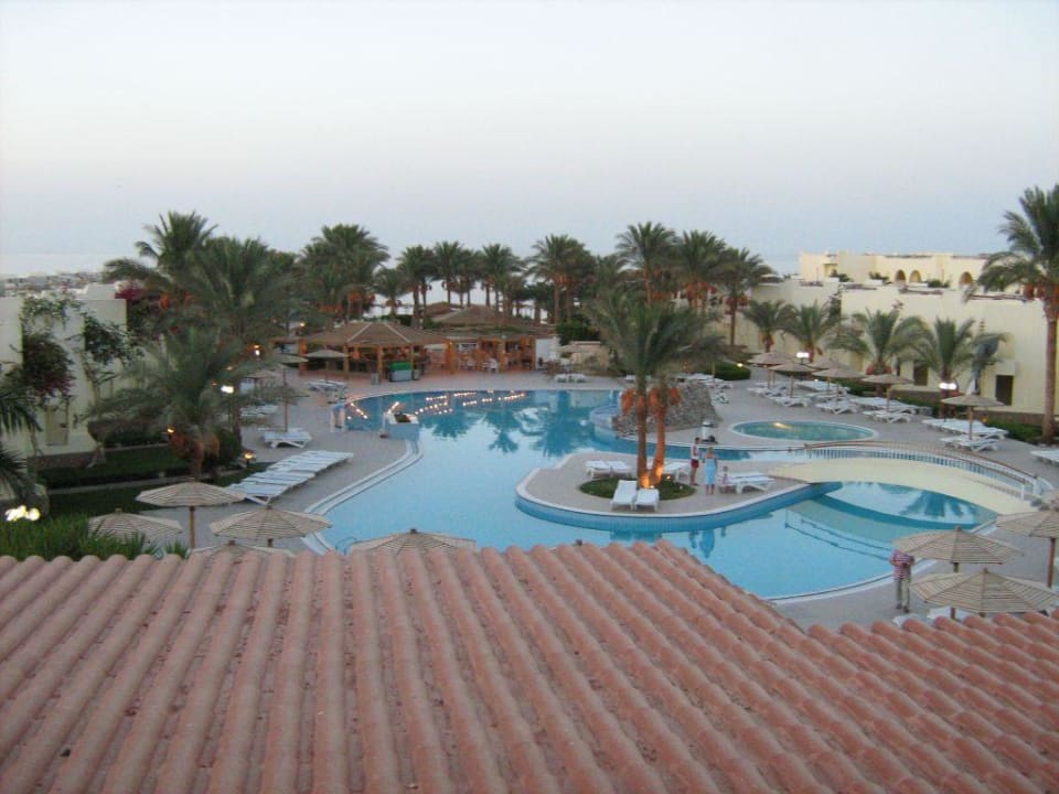 Pool Palm Beach Resort