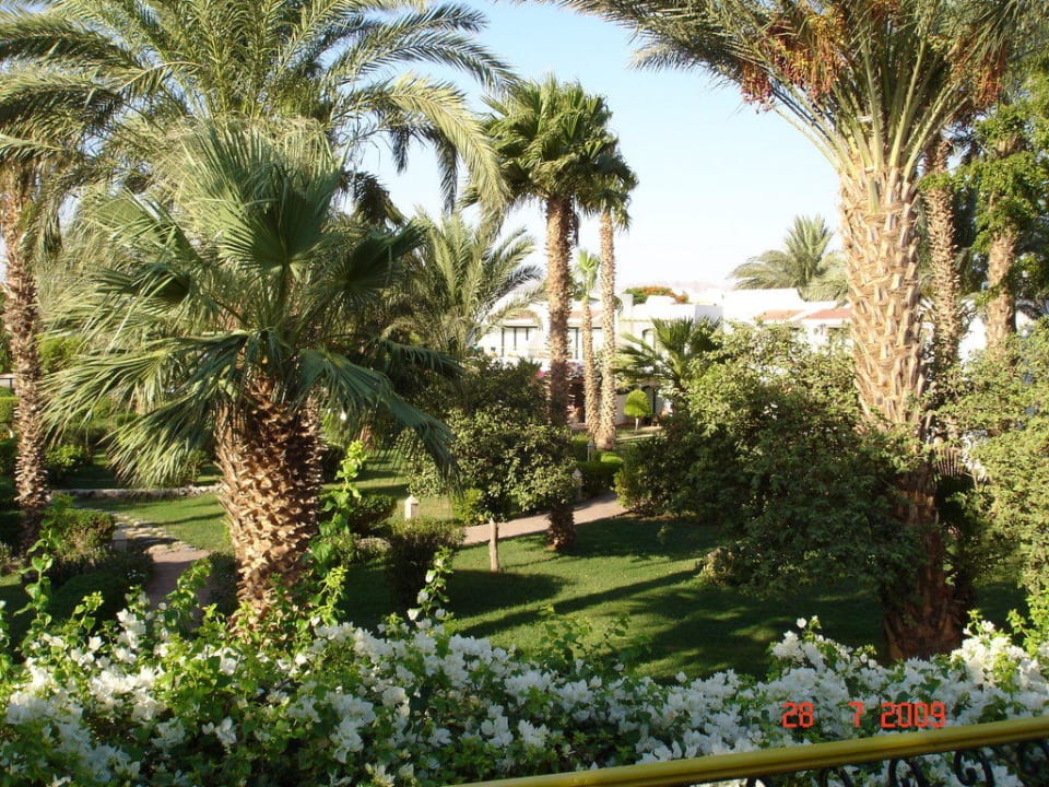 Garten Lotus Bay Beach Resort