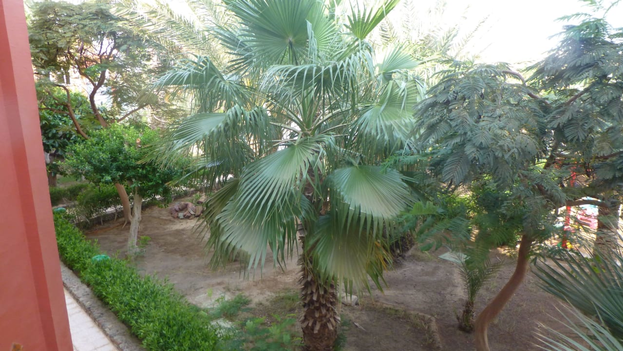 Balkonausblick in den wundreschönen Garten Arabia Azur Resort